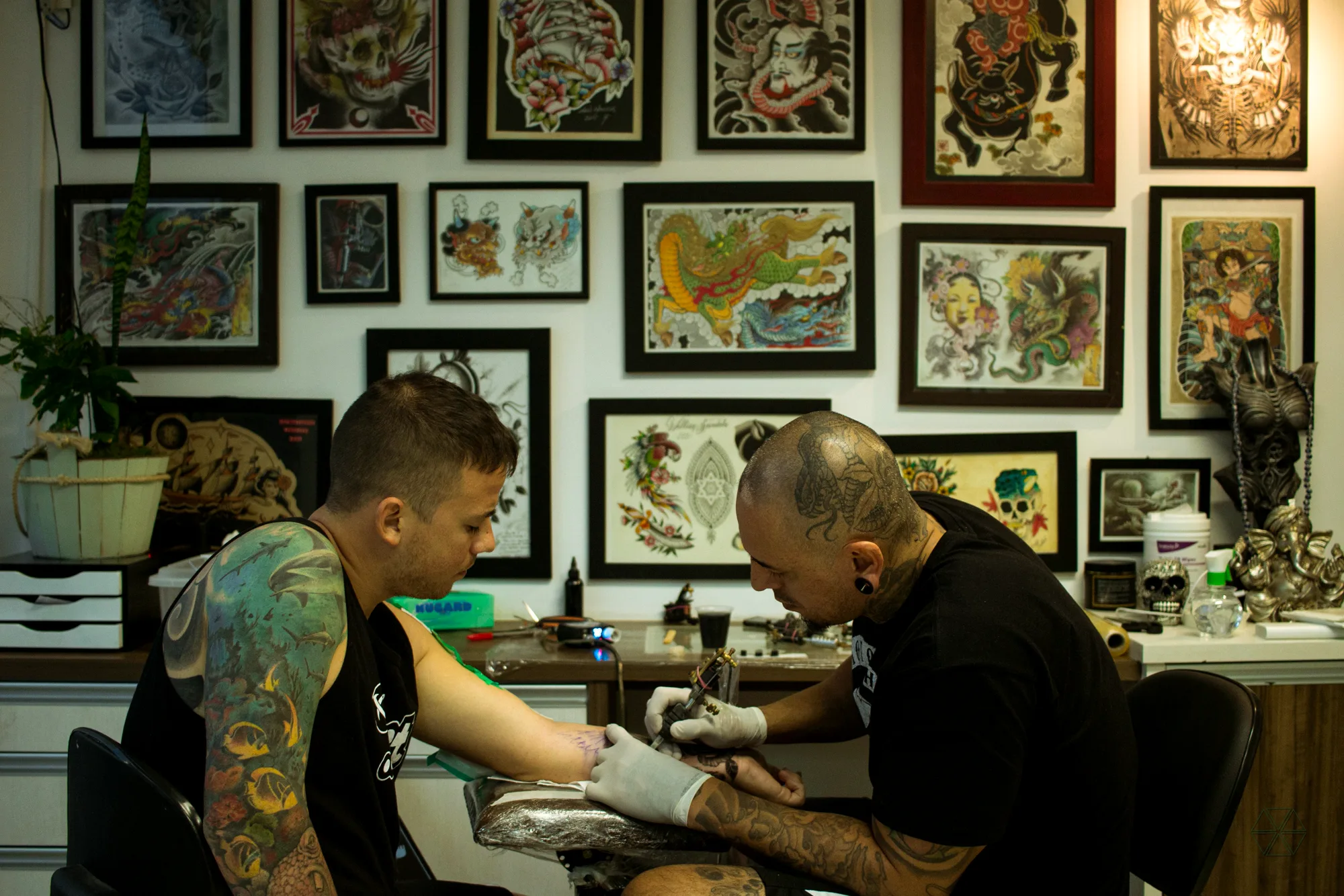 Márcio Lemes tatuando no estúdio Manifest Tattoo, com a parede de flashes coloridos ao fundo, em São José dos Campos